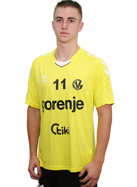 Aljaž Aristovnik